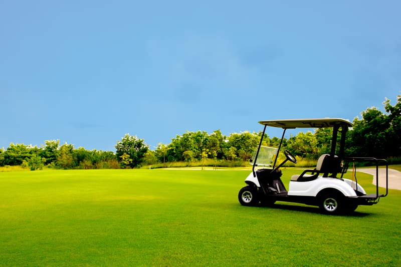 Batería para carro de golf